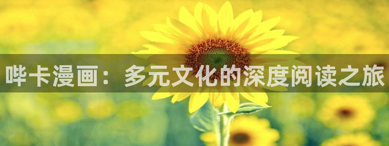 虫虫漫画最新版：哔卡漫画：多元文化的深度阅读之旅